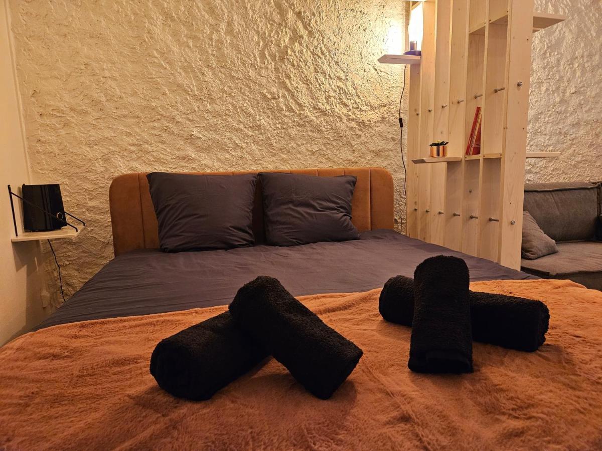 Charmante Proche Du Temple Apartment Vienne (Isere)